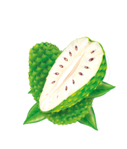 Soursop