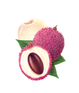 Litchi